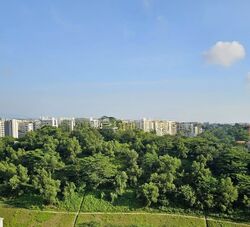 Blk 450D West Terra @ Bukit Batok (Bukit Batok), HDB 2 Rooms #547675271